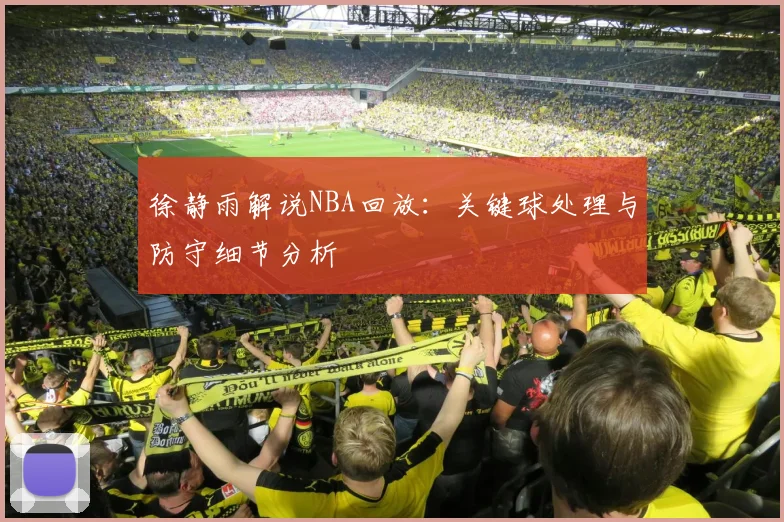 徐静雨解说NBA回放：关键球处理与防守细节分析