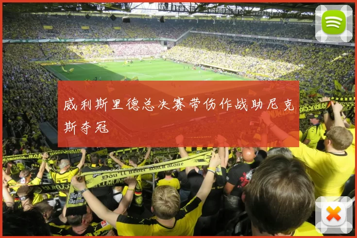 威利斯里德总决赛带伤作战助尼克斯夺冠