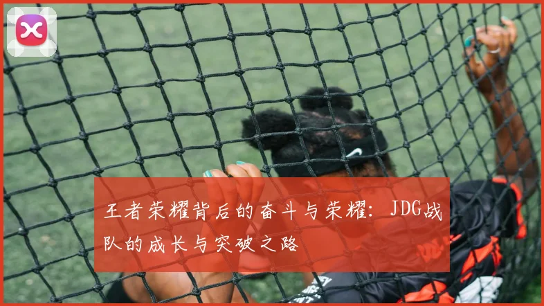 王者荣耀背后的奋斗与荣耀：JDG战队的成长与突破之路
