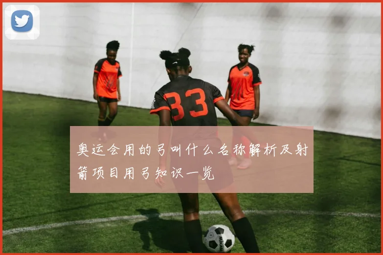 奥运会用的弓叫什么名称解析及射箭项目用弓知识一览