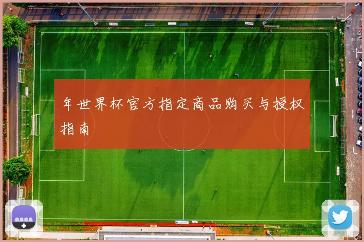 年世界杯官方指定商品购买与授权指南