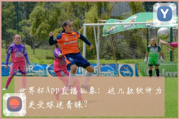 世界杯App直播乱象:这几款软件为何更受球迷青睐?