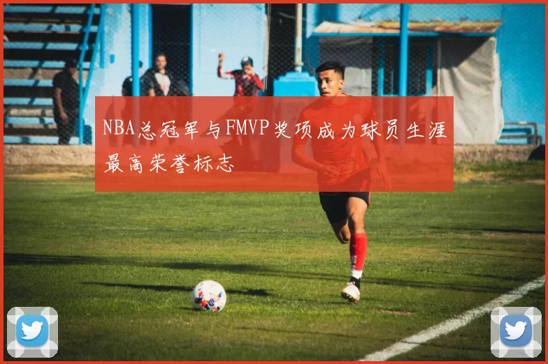 NBA总冠军与FMVP奖项成为球员生涯最高荣誉标志