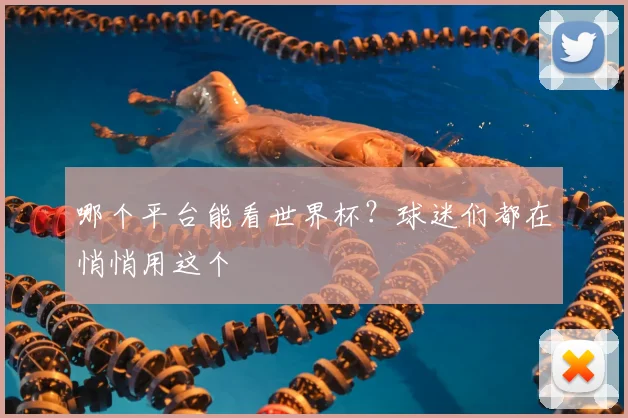 哪个平台能看世界杯?球迷们都在悄悄用这个