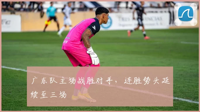 广东队主场战胜对手，连胜势头延续至三场