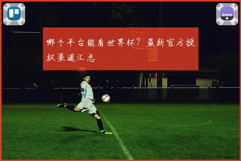 哪个平台能看世界杯?最新官方授权渠道汇总
