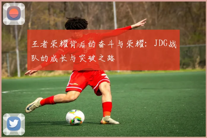王者荣耀背后的奋斗与荣耀：JDG战队的成长与突破之路